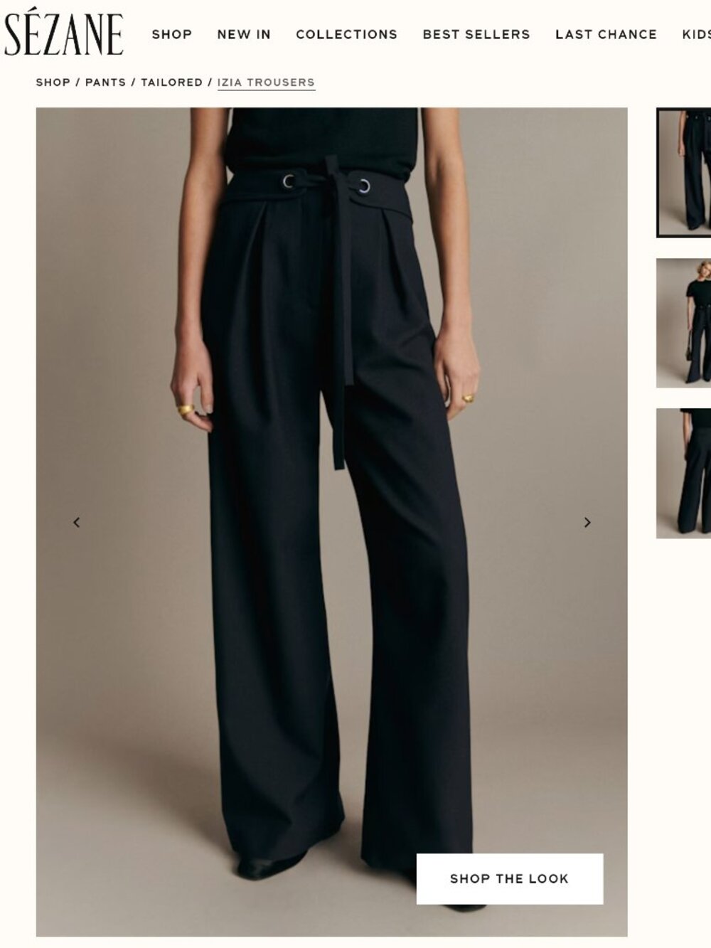 NWT Sezane Izia Trousers